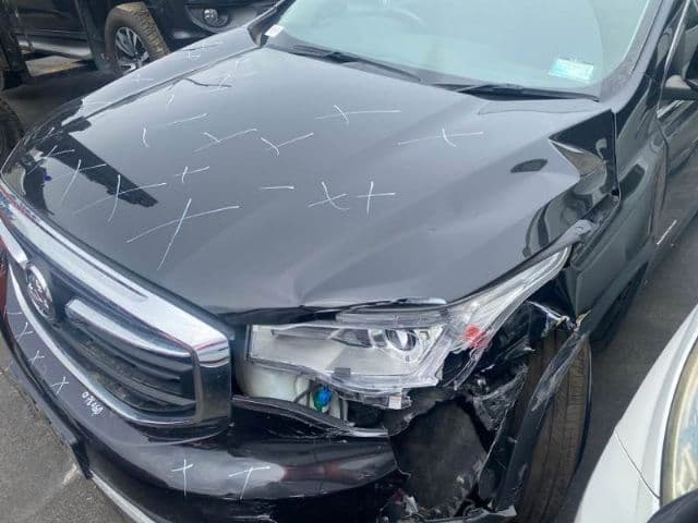 Holden Acadia (2019)