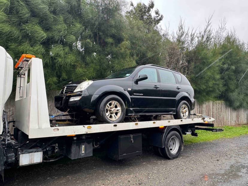 Cash For cars in Dargaville