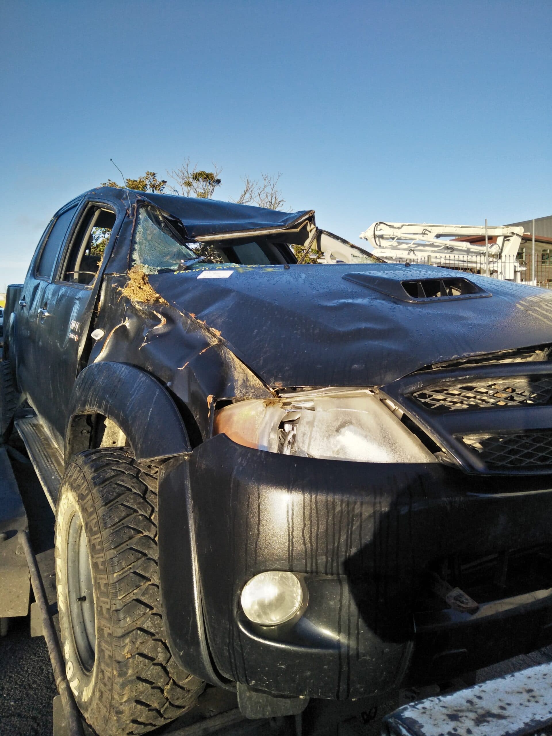 cash for car removal bay of plenty