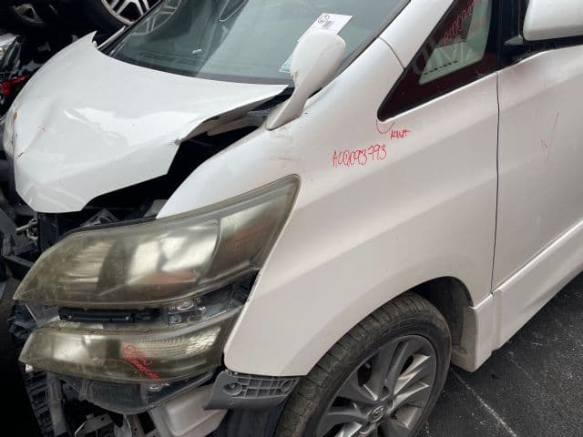 Toyota Vellfire NCP Purchase