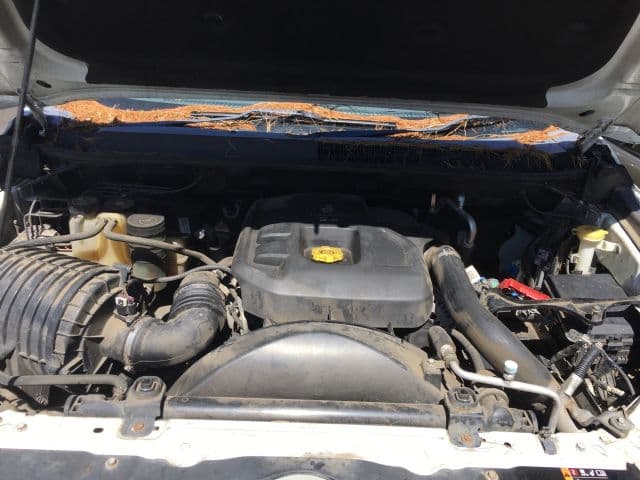 Holden Colorado (2013)