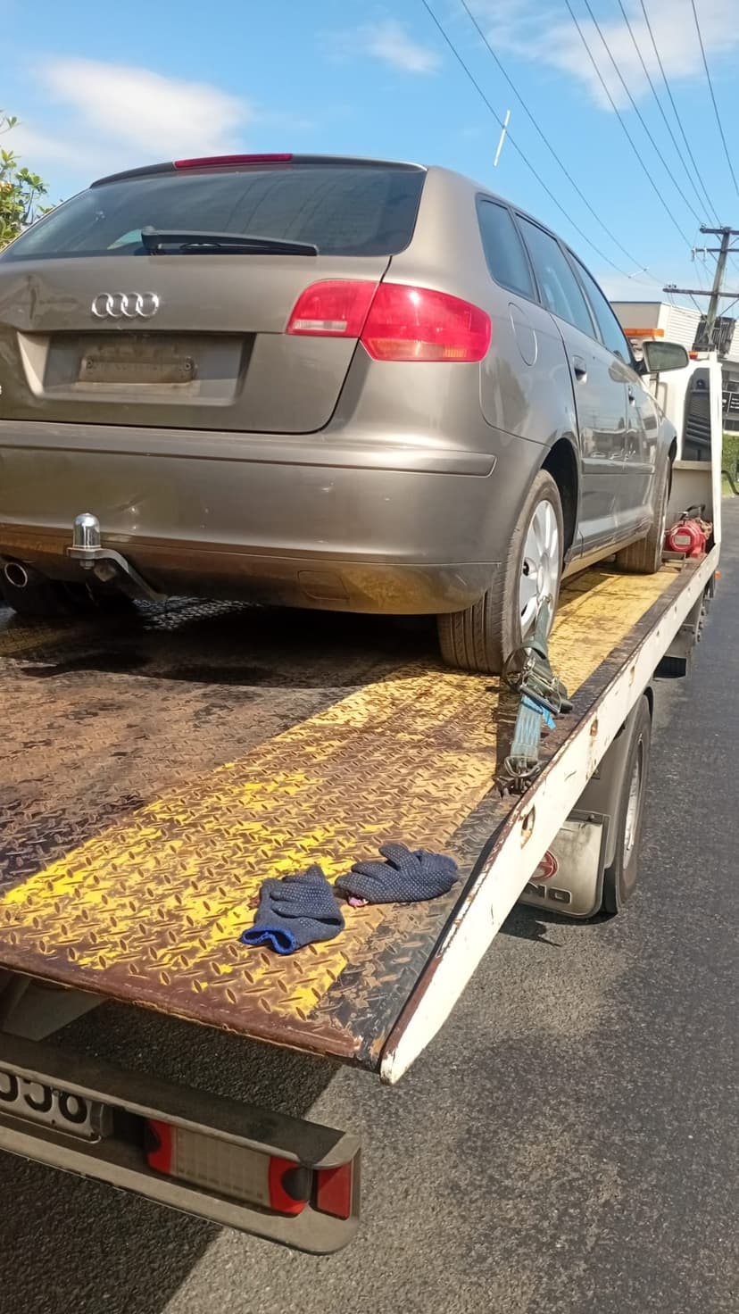 What we collect in Massey