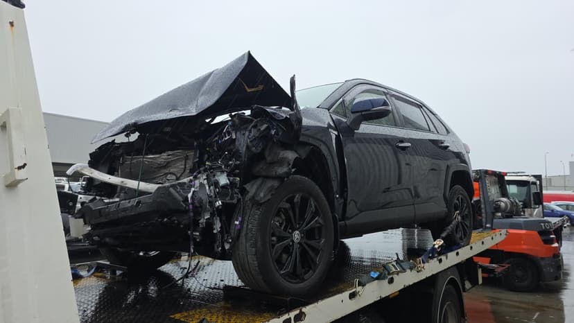 Clear Space & Get Paid in Pakuranga