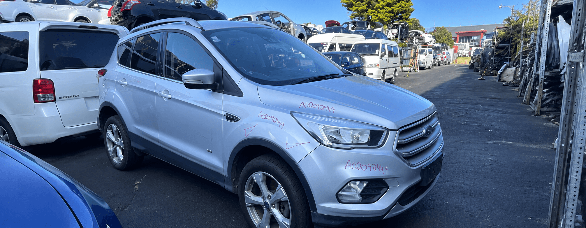 we pay for Ford Escapes