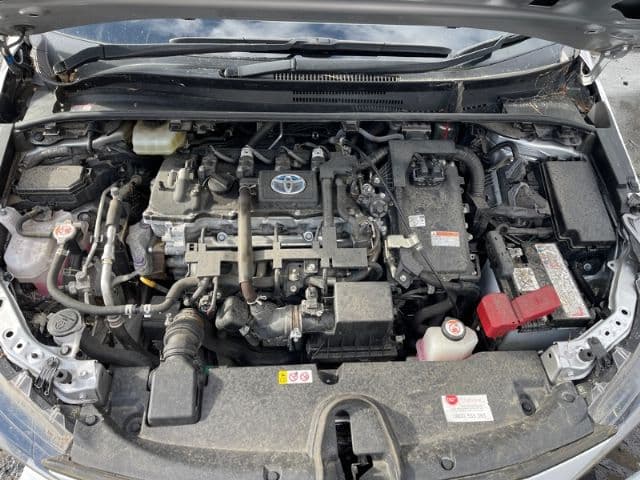 Toyota Corolla (2020)